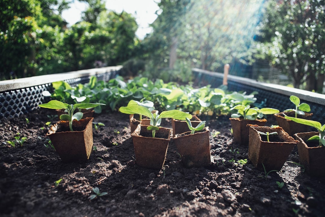 Propagation