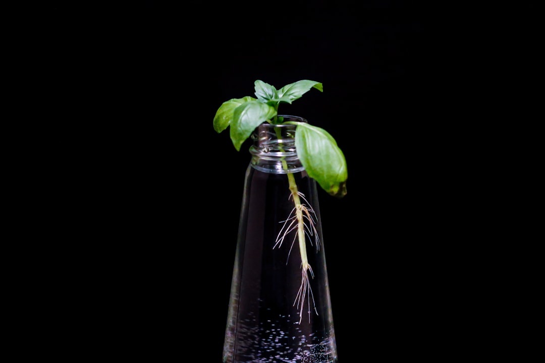 Propagation