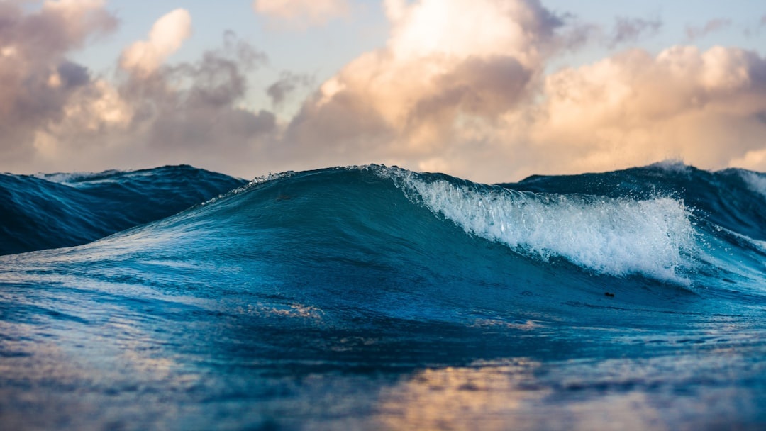 wave