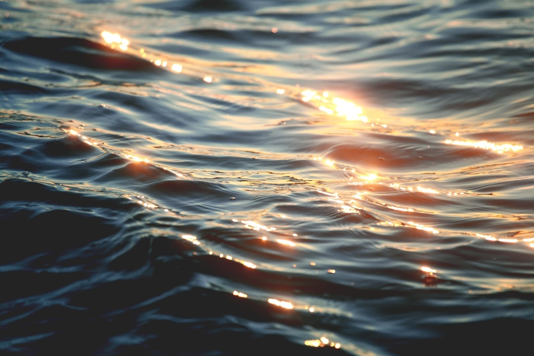wave