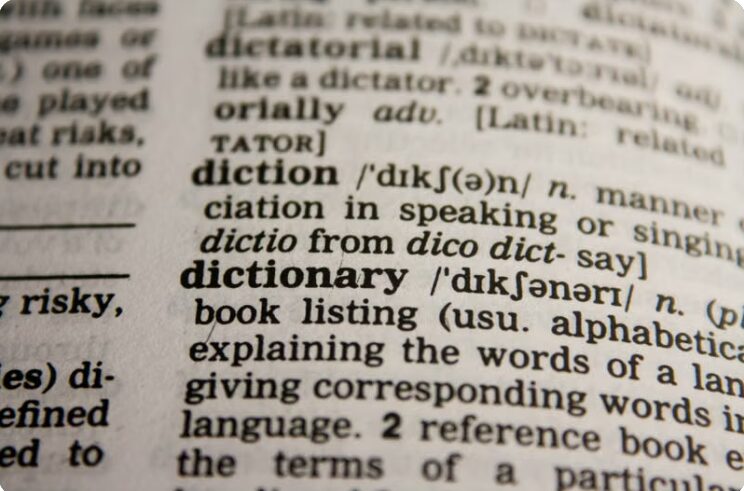 사전에서 dictionary 단어 뜻풀이 부분을 확대한 모습