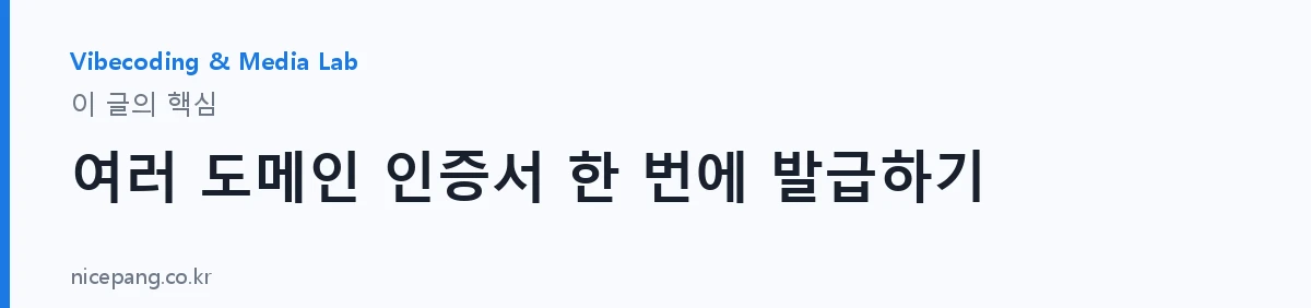 여러 도메인 인증서 한 번에 발급하기 — 요약