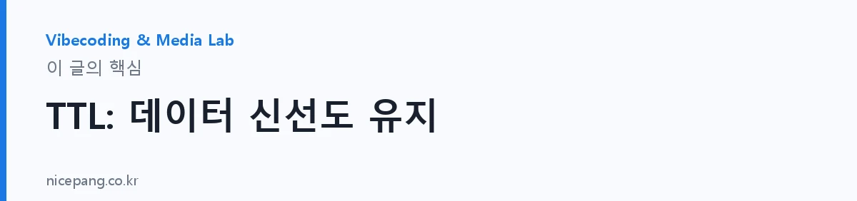 TTL: 데이터 신선도 유지 — 요약